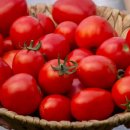 케이에스팜 이미지