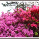 조선대학교병원 이미지