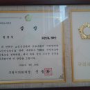 청춘 요가 이미지