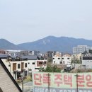 디오븐