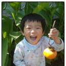 애육어린이집 이미지