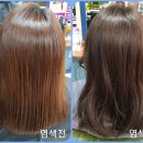 큐사랑호남지사전주점