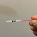 성복추어탕 | 👶🏻 4-5w 1d | 마동이 첫 집들이, 아기집 난황 확인, 1000일 기념 추어탕