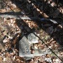 대마1리 이미지