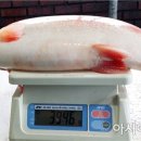 (주)비알팜