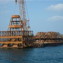 국(농림수산식품부) 이미지