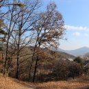 외포리버스터미널 이미지