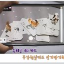 증강현실카드 옥타곤4D카드 신기방기해~!