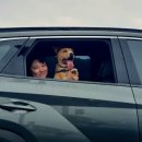 멍스퀘어 이미지