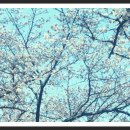 창원대로 이미지