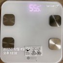 까르페디엠-타로카페 | [공지] [2023년 1분기 실천록] 이 정도면 저 프로실천러 맞는 것 같아요 😂