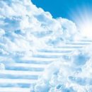 조프로짐 이미지