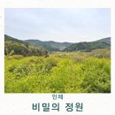 남면도서관 | 인제 비밀의 정원 출사지 강원도 드라이브 코스 가볼만한곳