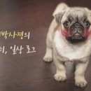 대도회초밥