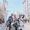 디케이바이크 - 서구 갈마로 205 | 디케이바이크