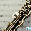 클라리넷 집중레슨 이미지