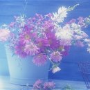 포근히 - 정읍시 중앙로 107 | 포근히