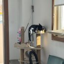 버스정류소_서부면허시험장 | 내돈내산 파주 자유로 운전면허 학원 후기 / 4일만에 2종 면허 취득✌️ / 비용부터 일정&amp; 과정 총정리