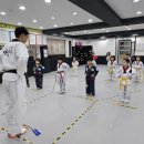 선 태권도장 이미지