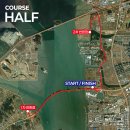 영스포츠 | 제 1회 2026 청라하늘대교마라톤 10km 후기(PB했다!)