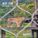 가을나드리투어 | 1박 2일 경북 봉화 웰니스 투어 추천 코스 백두대간 수목원