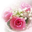 유월의 노래