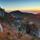 금산약국 이미지