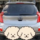 뉴와우모터스 이미지