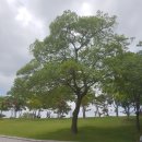 아소한의원 이미지