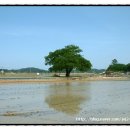 동아당약국 이미지