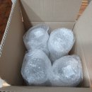 Jun스크린 이미지