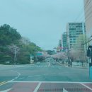 [울산]코스트코/코스트코 추천상품/코스트코 울산점