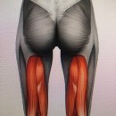 H.FIT 운동센터 이미지