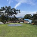 퍼피 그라운드 이미지