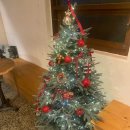 커피캐스트 | (대구) 캐스트커피오피스