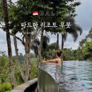 쉬운 요가 | 파드마 리조트 우붓 수영장, 요가, 양궁, 애니멀가든 부대시설 후기