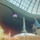 월드기획 | [250320] 포켓몬 월드 어드벤처 : 스프링 캠프🌸 후기