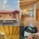 황토사랑 나무야 이미지