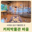 제주커피박물관 바움 | 서귀포 성산 가볼만한 곳 제주 커피박물관 바움