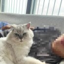 이마트24구미선산중앙점 | 아니 이걸 왜 안 썼지?!(강릉~구미)