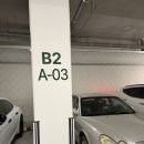 청담아이윌동물병원 | 노령견 케어 추천_【아이윌24시동물병원】