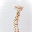 마포공덕튼튼본정형외과의원 이미지