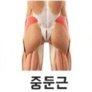 애플힙 짐 이미지