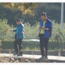 기지초교 이미지