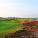 군산시니어클럽 | 국내 페어웨이 진입 골프카트를 탈 수 있는 골프장은 어디?