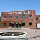 웃는물고기 이미지