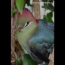 강서골드공인중개사사무소 이미지