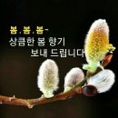 인셀덤제주도대리점