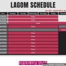 하이룩스 이미지