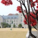 사화로 이미지